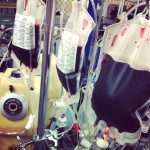 Blood Bags