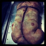 Medical prop Torso