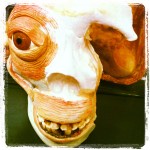Skull with Eyeball