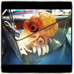 Skull with Eyeballs