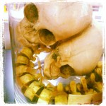Skulls in a Jar