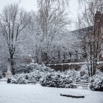 snow-14