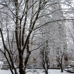 snow-3