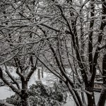 snow-59