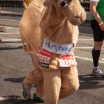 marathon-208