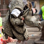marathon-336