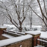 snow-1