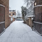 snow-29
