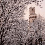snow-51